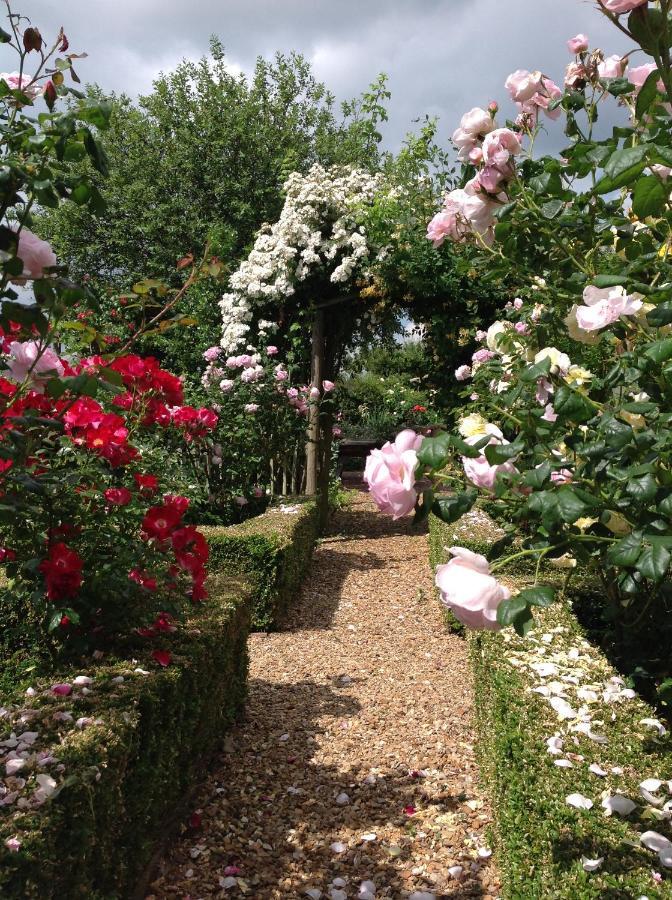 Orchard Cottage, Clematis Cottages, Stamford. Accessible Luxury Home. Екстер'єр фото