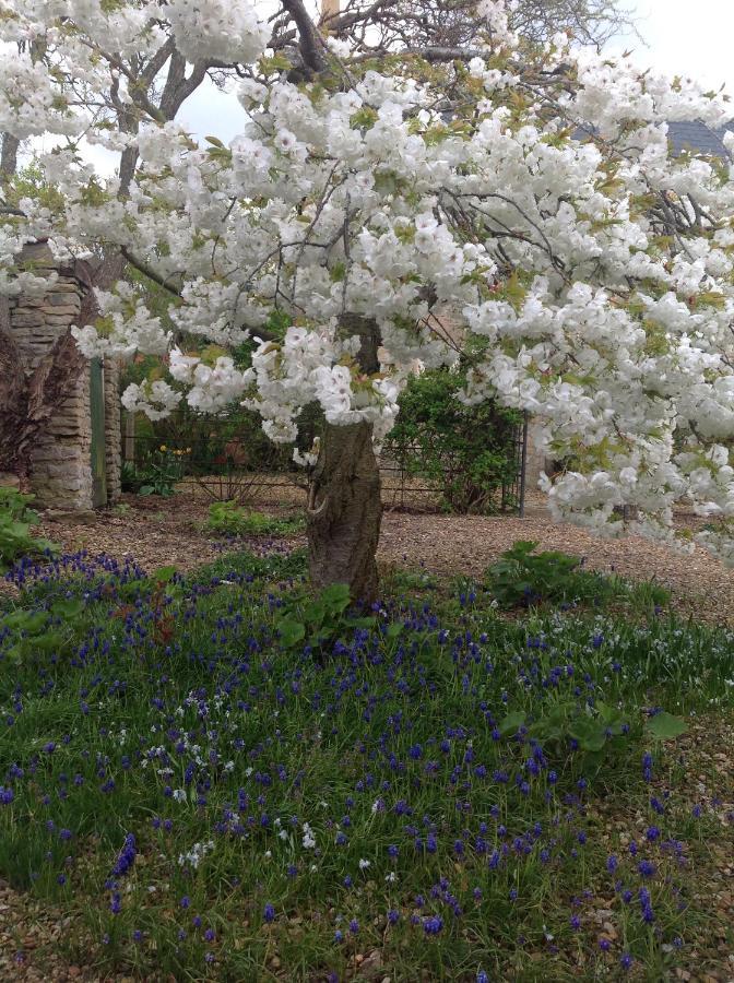 Orchard Cottage, Clematis Cottages, Stamford. Accessible Luxury Home. Екстер'єр фото